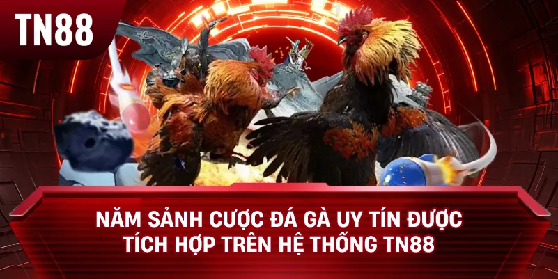 Năm Sảnh Cược Đá Gà Uy Tín Được Tích Hợp Trên Hệ Thống TN88